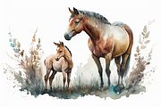 Horse Haven Watercolor Collection, an Animal Illustration by artsy-fartsy (Thumbnail 9 of 9)