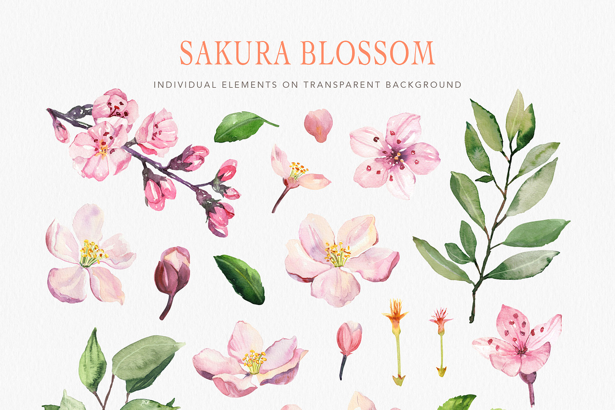 Sakura Blossom patterns, a Pattern Graphic by Volha Studio (Photo 8 of 9)