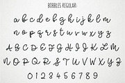 Bobbles: Script Font in 3 Weights, a Script Font by Missy Meyer (Thumbnail 2 of 9)