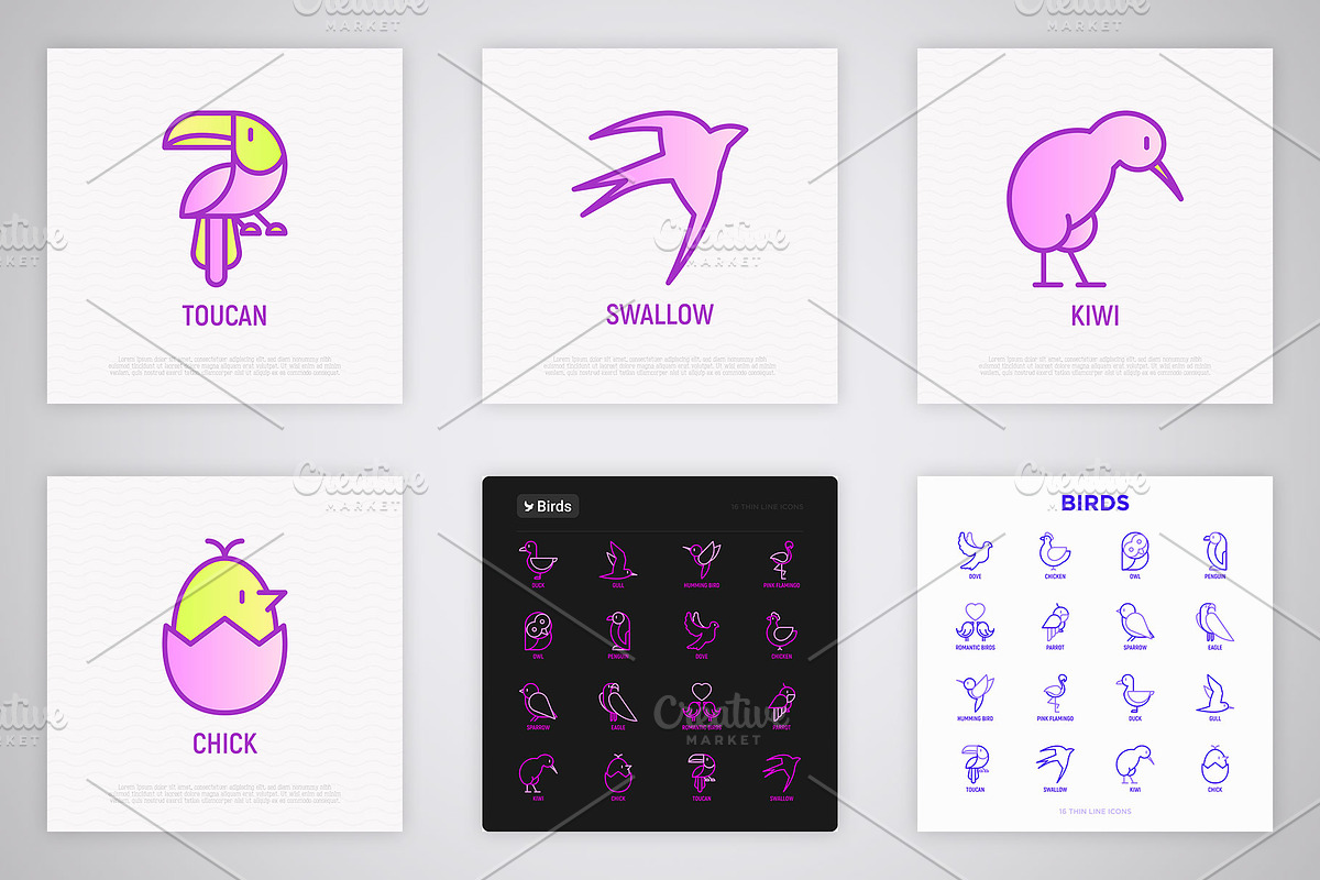 Birds | 16 Thin Line Icons Set, an Outline Icon by Alex Blogoodf (Photo 6 of 7)