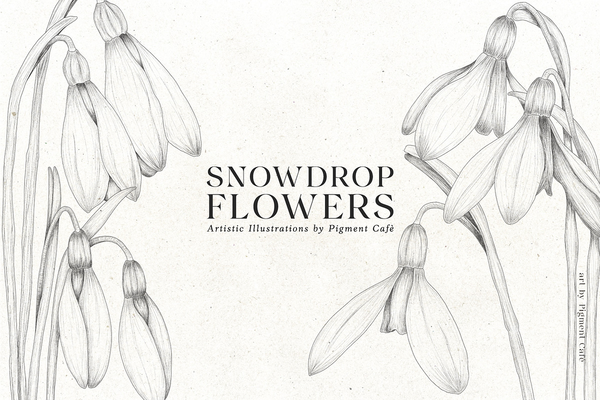 Snowdrop Flowers & Card Templates, an Illustration by Pigment Café (Photo 6 of 8)