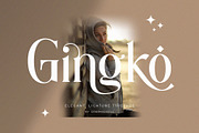 Ligature Font Bundle, a Serif Font by Graphicxell (Thumbnail 40 of 48)