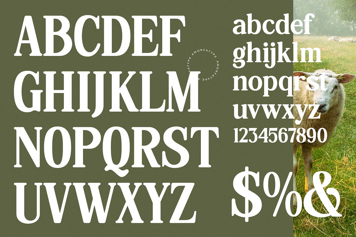Hasbor Modern Alternate Serif Font, a Serif Font by AmorfaType (Photo 10 of 11)
