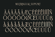BIKAVE - A Modern Display, a Serif Font by Marvadesign (Thumbnail 6 of 6)
