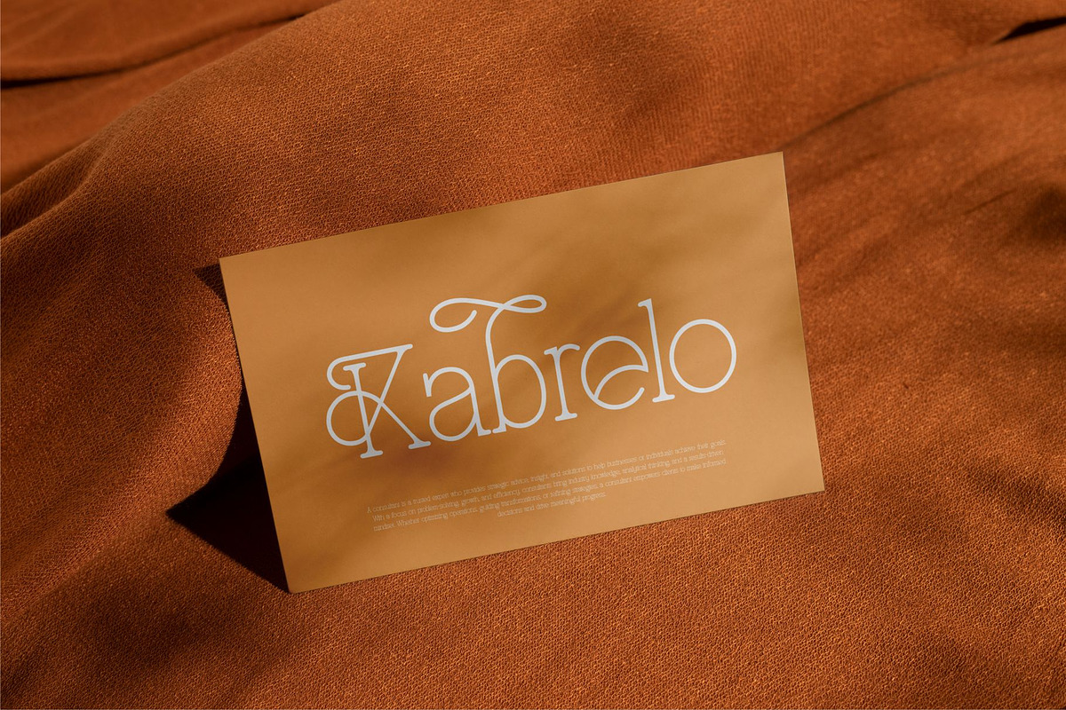 Radelo || Modern Stylish Thin Serif, a Serif Font by Idea Studio (Photo 9 of 10)