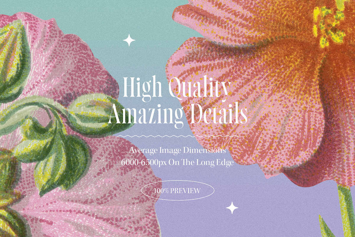 Atlas of Flowers - Botanical Art Set, an Object Graphic by Graphic Goods (Photo 8 of 12)