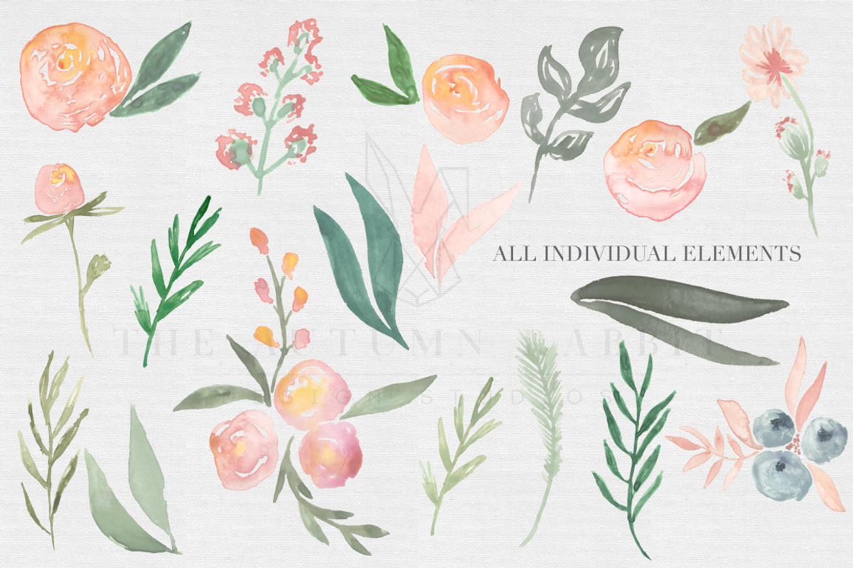 Peachy Keen Watercolor clipart Set, an Illustration by The Autumn Rabbit Ltd (Photo 2 of 2)