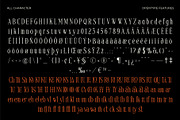 Voracity - Serif Display Font, a Serif Font by Brainwaves.Studio (Thumbnail 5 of 9)