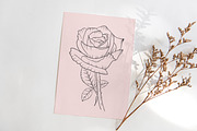 Roses flowers lineart clipart., a Graphic by svetodesign (Thumbnail 4 of 5)
