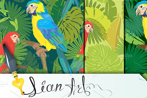 Blue Yellow and Red Macaw parrots preview 5