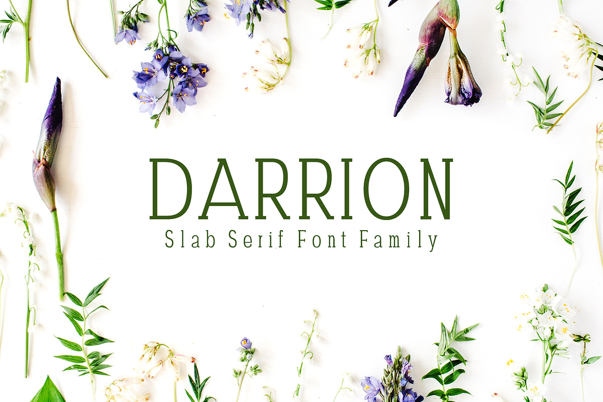 Darrion Slab Serif Font Family