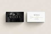 Queenstown 2 Font Signature & serif, a Script Font by typeline studio (Thumbnail 10 of 14)