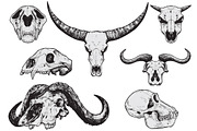ANIMAL SKULLS - Hand Drawn, an Animal Illustration by BusOne (Thumbnail 1 of 2)