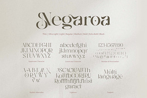 Negaroa - Aesthetic Serif