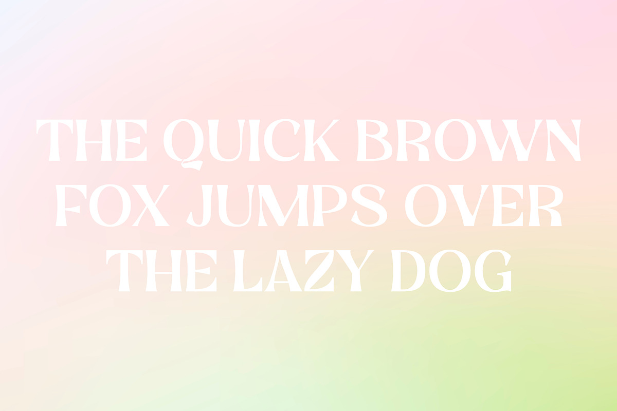 Calgnita | Modern Classic Serif, a Serif Font by Andrimada Creative (Photo 10 of 11)