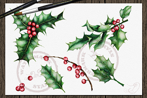 Holly Watercolor Clip Art