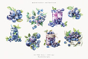 Watercolor Blueberries, a Food Illustration by PeDe Designs (Thumbnail 2 of 4)