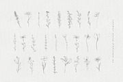 Sketched Floral Illustrations, an Illustration by With Love Ethel (Thumbnail 6 of 6)
