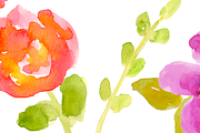 Modern Floral Watercolor Flowers, an Illustration by Sandra Jones Art (Thumbnail 4 of 4)