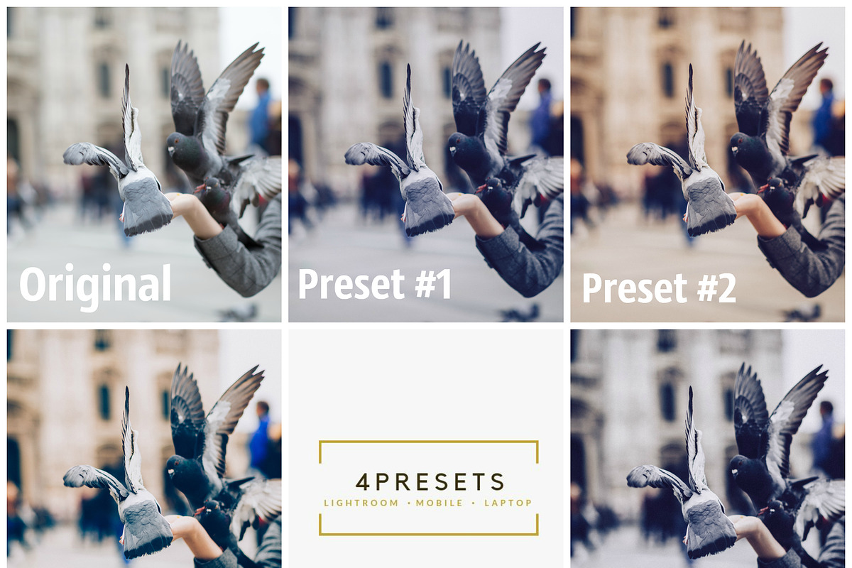 Lightroom mobile & desktop presets, a Preset Add-On by 4presets (Photo 8 of 11)