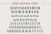 Esthetique - Elegant & Stylish Font, a Sans Serif Font by Krismagraph (Thumbnail 7 of 12)