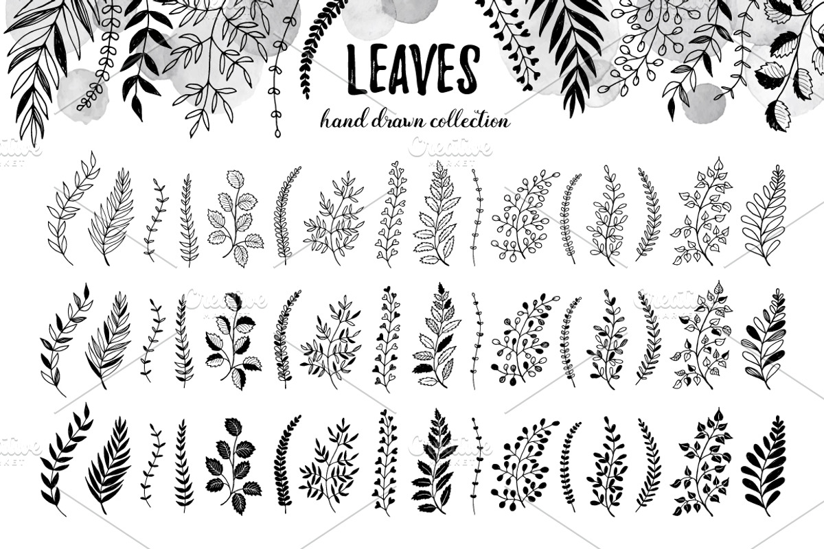 Leaves sketch style set, an Object Graphic by Olly Molly (Photo 2 of 4)