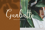 Bryan Letter, a Script Font by Pollux of Geminorum (Thumbnail 3 of 12)