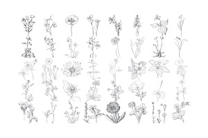 Floral Wild Flower Set 1 Procreate