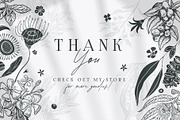 Australian Botanicals 4 in 1 Bundle, a Decorative Illustration by rouxsupplyco (Thumbnail 25 of 25)