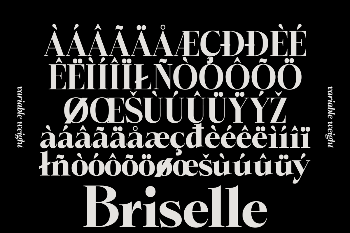 Briselle, a Serif Font by Propertype (Photo 11 of 15)