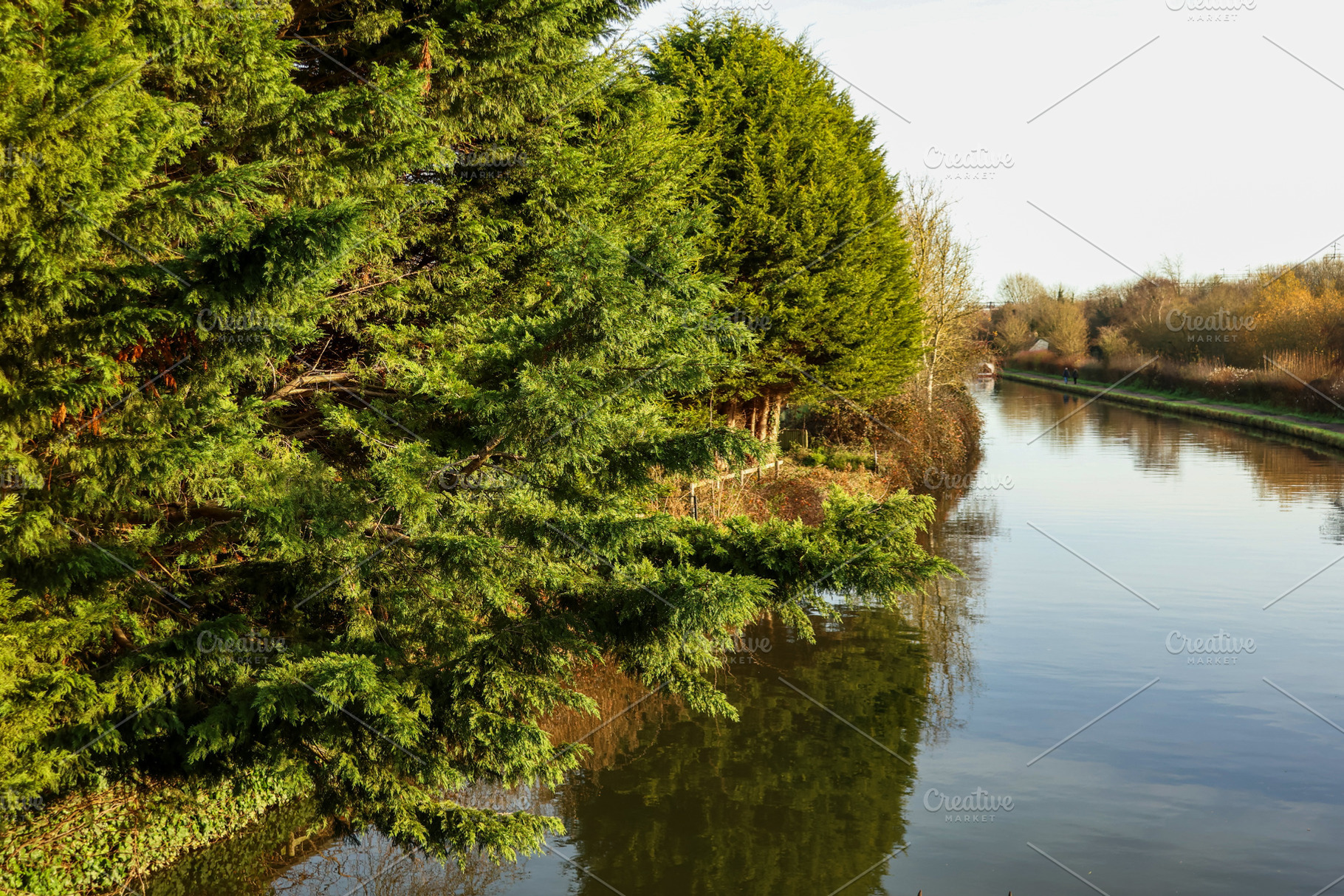 Navigating a serene canal with reflections, green trees lining the banks, and a, a Photo by Studio ANNA
