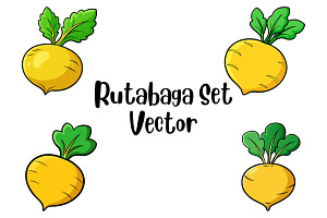 Rutabaga Set Vector, a Food Illustration by Awieee1