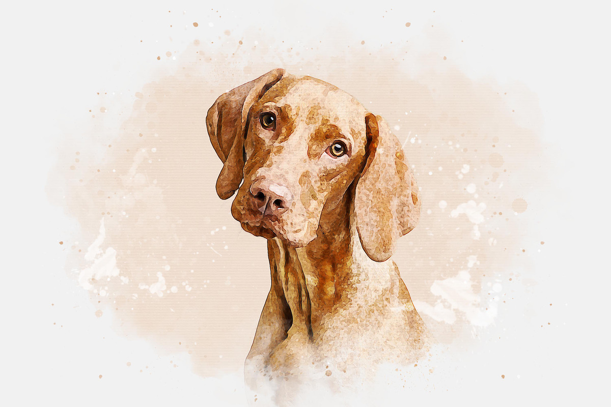 Realistic Watercolor Effect, an Action Add-On by liptouse (Photo 3 of 9)