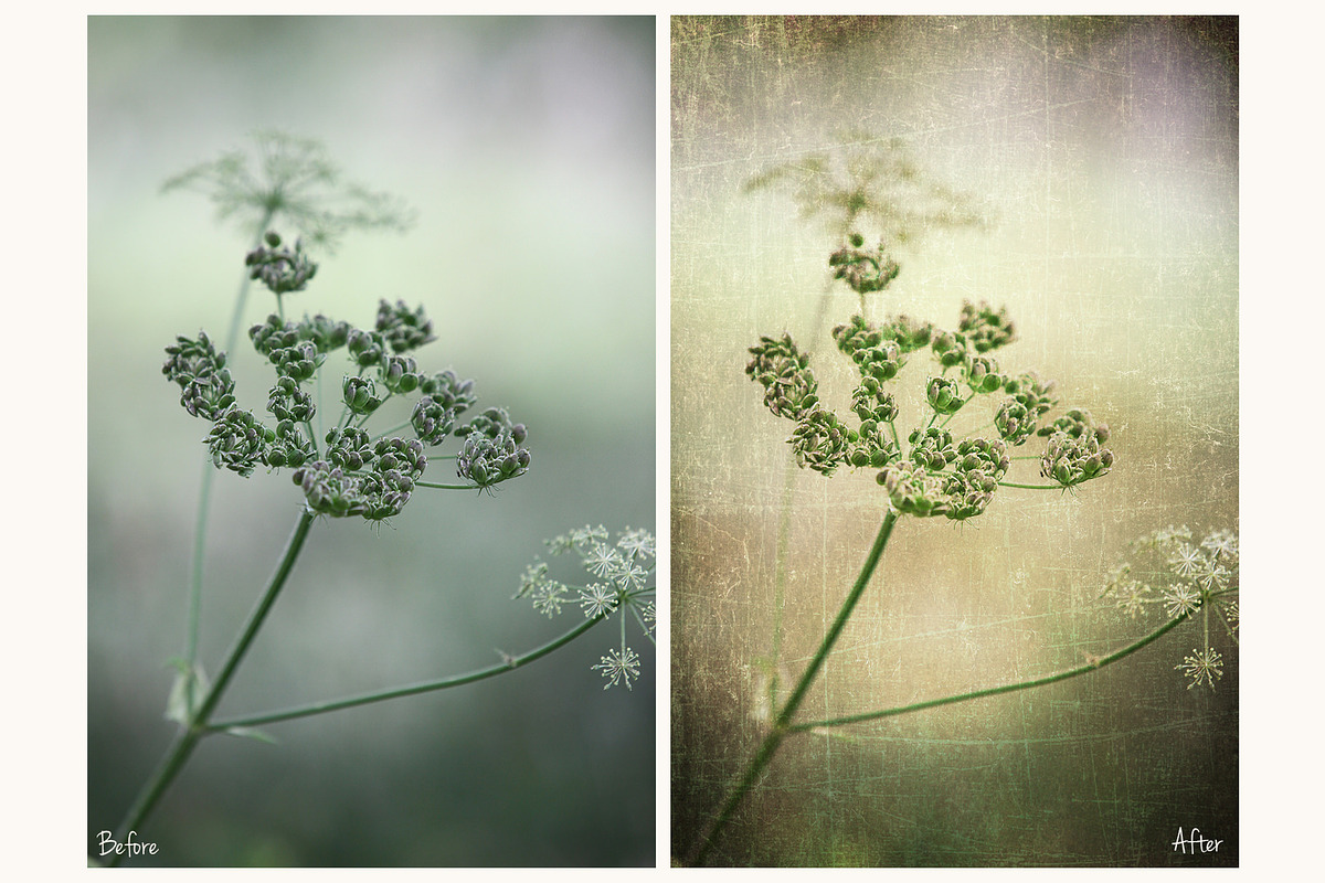 Fine Art Texture 5, a Layer Style Add-On by HappyNews (Photo 7 of 9)