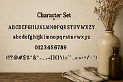 Market Folk - Modern Serif Font, a Serif Font by overlaytemplates (Thumbnail 4 of 5)