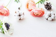 THE BLUSHING MORNING. PHOTO BUNDLE., a Beauty & Fashion Photo by Sentimental postman (Thumbnail 10 of 13)