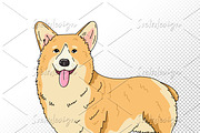 Dogs breed clipart illustrations., an Animal Illustration by svetodesign (Thumbnail 4 of 8)