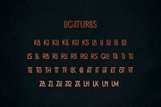 Rochester - with 46 Ligatures, a Serif Font by Hustle Supply Co. (Thumbnail 5 of 7)