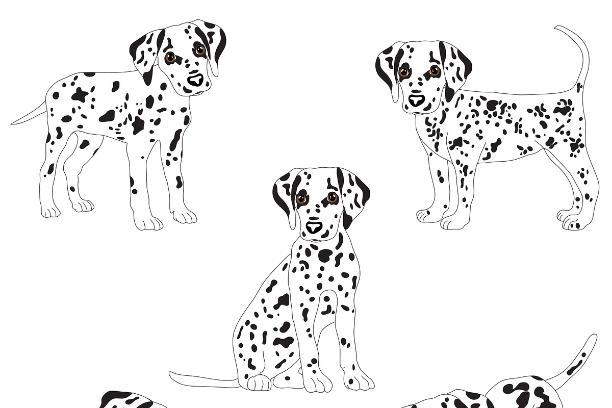 Dalmatian, an Animal Illustration by Orangepencil (Photo 2 of 7)