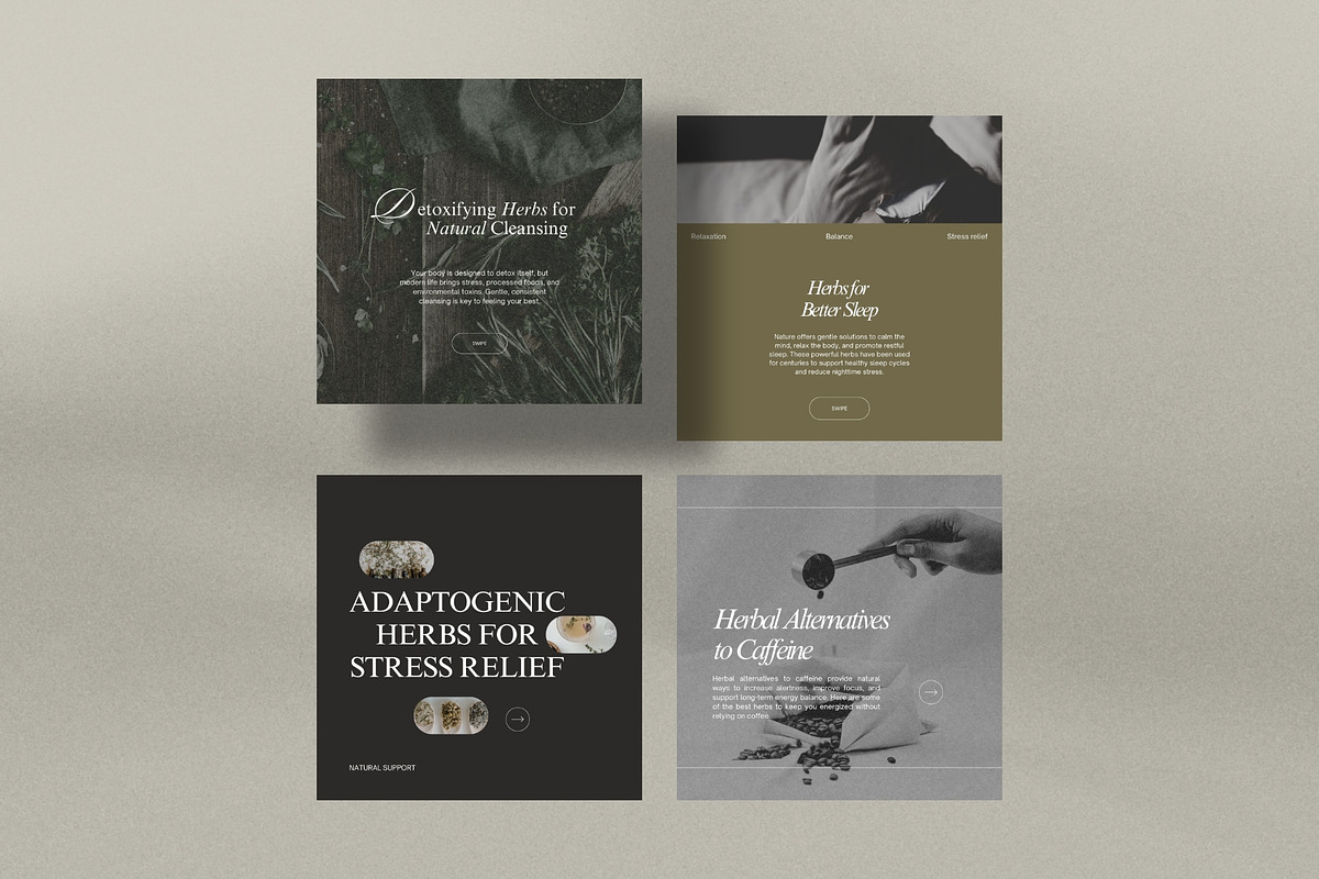 Herbalist Carousel Post Templates, a Social Media Template by Terraa Studio Design (Photo 2 of 9)