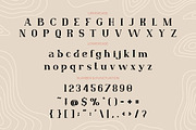 Lafonsa - Stylistic Serif Font, a Sans Serif Font by PutraCetol Studio (Thumbnail 10 of 13)