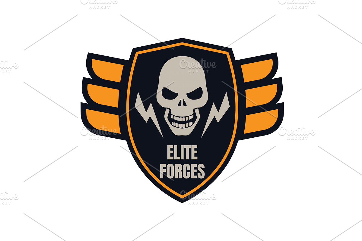 Skull with wings emblem for military, an Object Illustration by seahorsevector