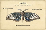 Moths - 40 antique style PNG images, an Illustration by YesFoxy (Thumbnail 2 of 3)