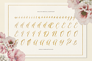 Nomesyl Bridella Beauty Calligraphy, a Script Font by Denustudios (Thumbnail 11 of 12)