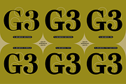 TA Regresso Display, a Serif Font by TAFT Foundry (Thumbnail 5 of 11)