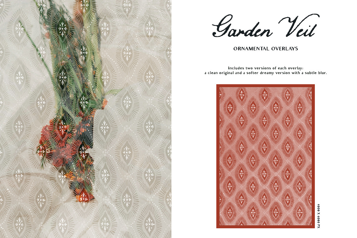 Garden Veil: Lace Overlays, a Texture Graphic by Purple (Photo 5 of 16)
