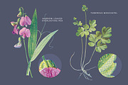 Vintage Flowers Vol.01 - Extra Large, an Illustration by Greta Ivy (Thumbnail 6 of 18)