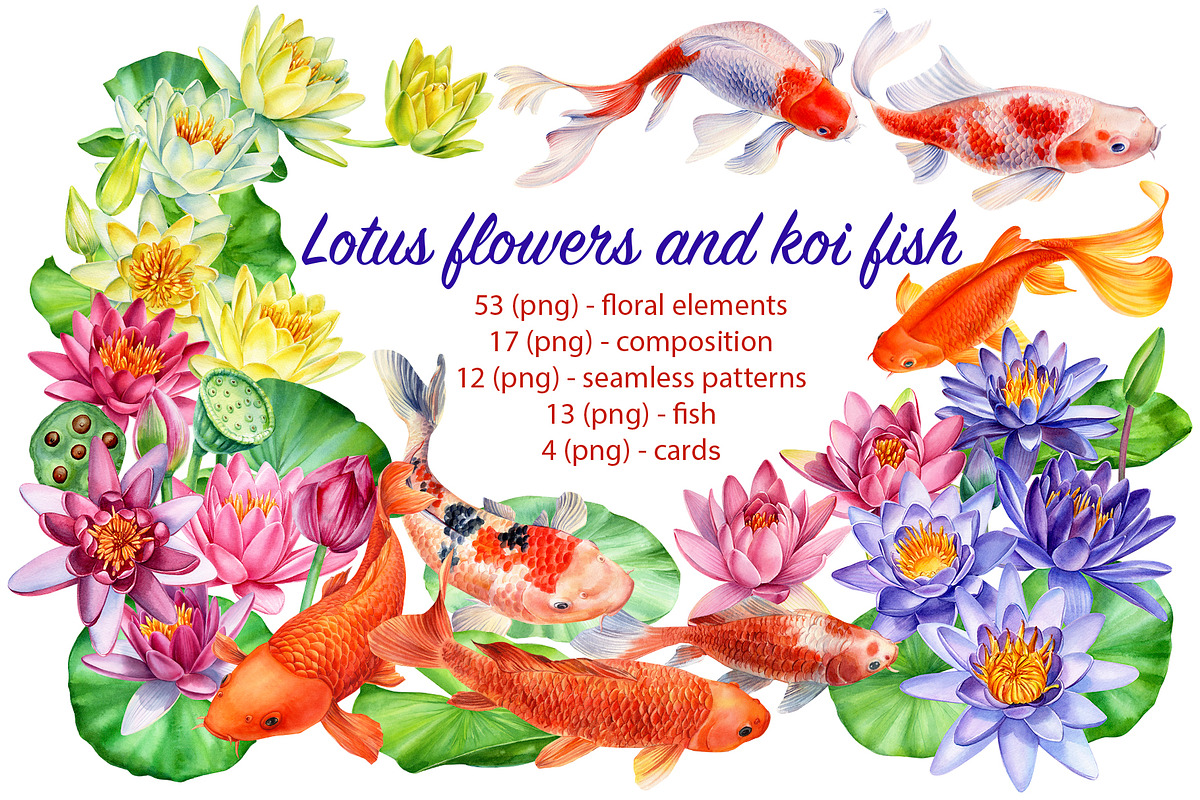 Lotus flowers and koi fish, an Animal Illustration by Hanna Hryharenka (Photo 1 of 13)