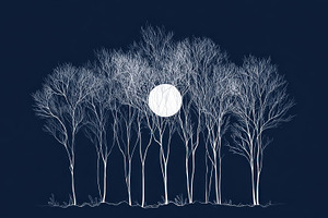 Moonlight shines on trees at night, a Photo by Beautiful things