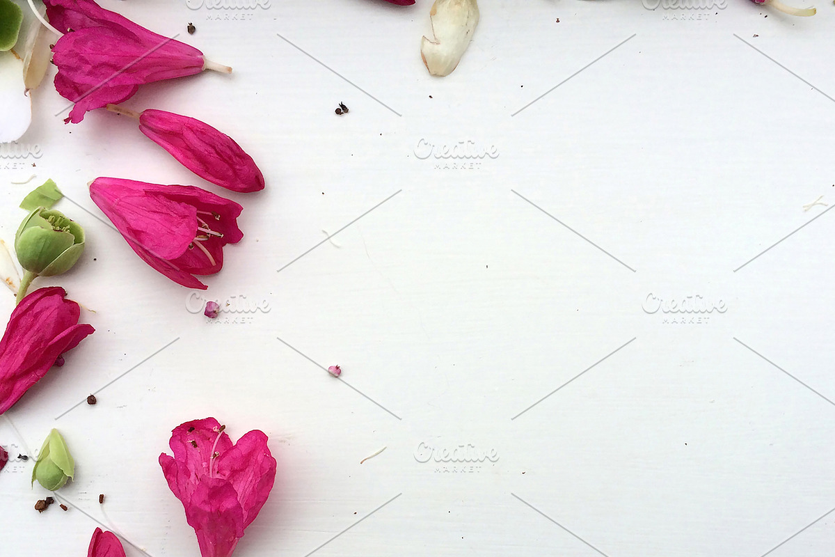 BUNDLES OF BLISS–Styled Stock Photos, a Product Mockup by Pepperbelle Tinkers (Photo 6 of 9)
